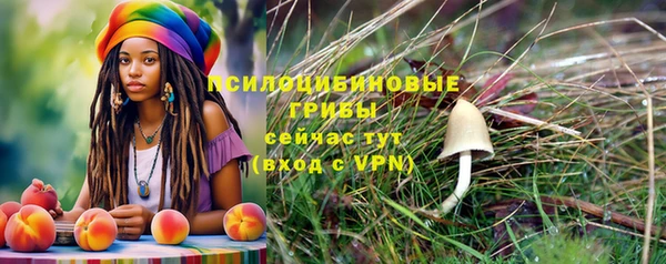 таблы Михайлов