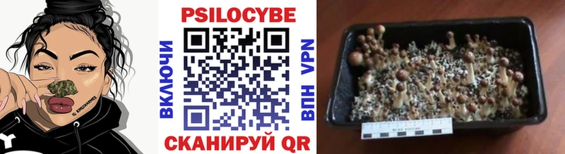 Купить закладки  Алексин  Галлюциногенные грибы мухоморы 